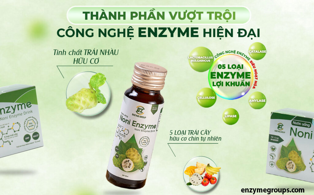 Quy trình sản xuất Noni Enzyme