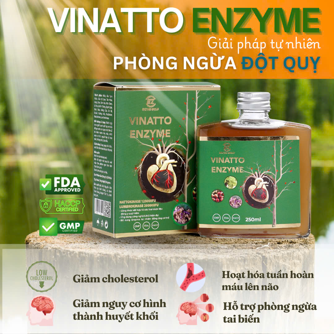 Sản phẩm nên uống để phòng ngừa đột quỵ Vinatto Enzyme