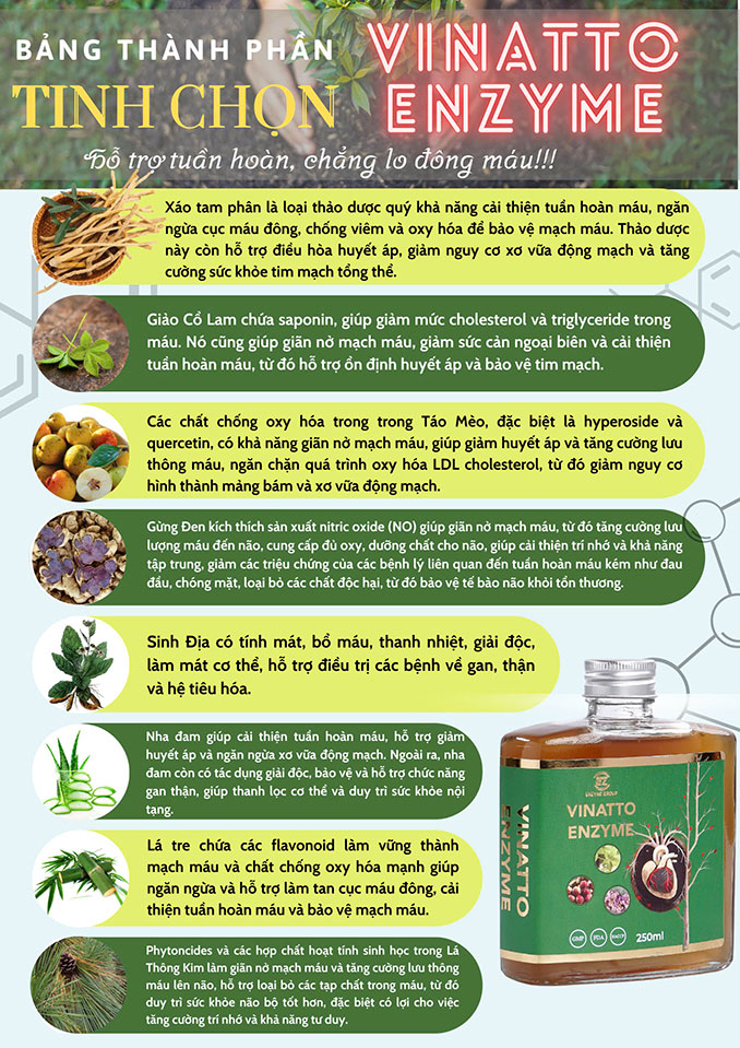 Thành phần Vinatto Enzyme