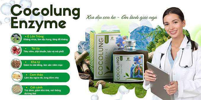 Cocolung Enzymne Thành phần và công dụng