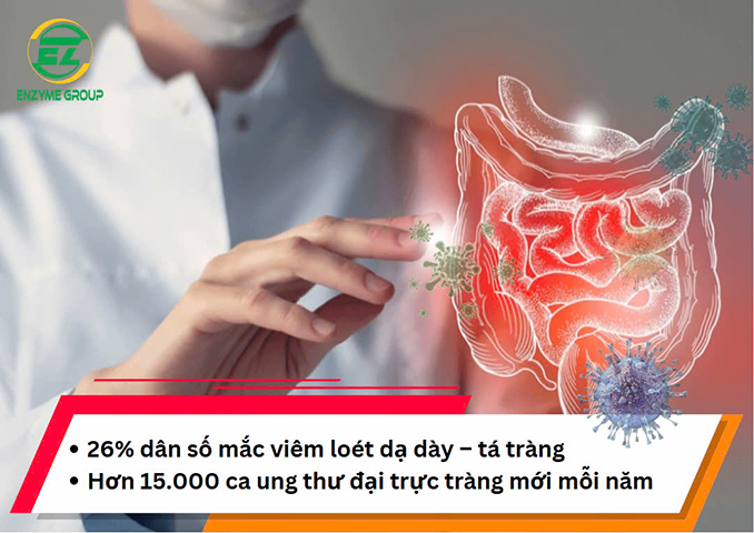 Thực trạng sức khoẻ đường ruột