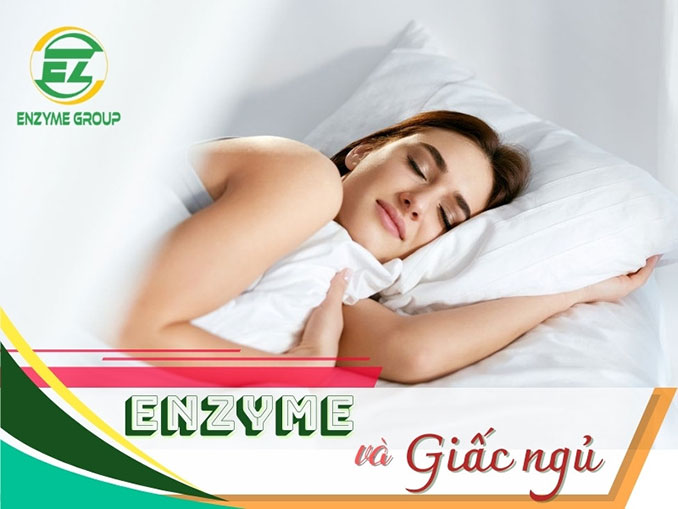 Enzyme liên quan đến giấc ngủ