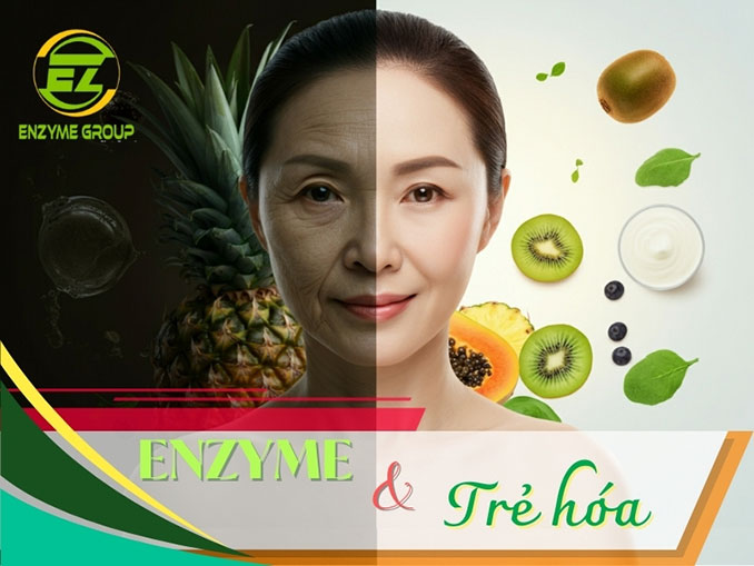 Enzyme và sự trẻ hoá làn da