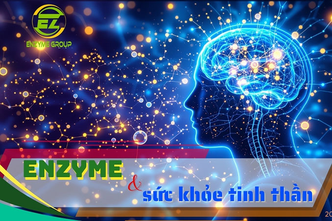 Enzyme và sức khỏe tinh thần