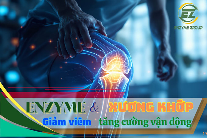 Enzyme và sức khỏe xương khớp