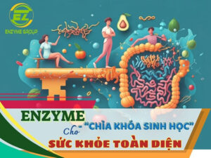 Enzyme bảo vệ sức khoẻ toàn diện